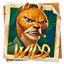 Wild-символ